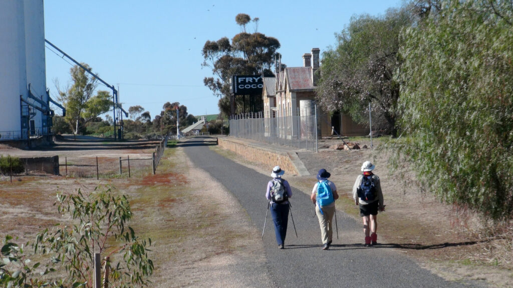 NSW Walkers at Eudunda