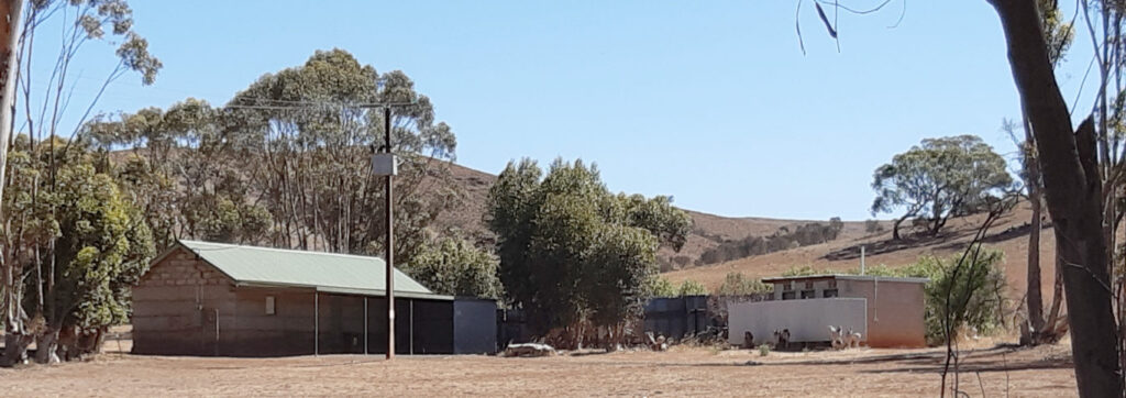 Point Pass Oval Camp Ground